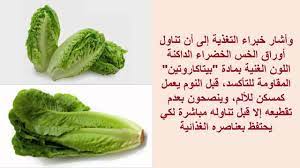 فوائد الخس اهميه عظيمه لتناول نبات الخس مش هتصدق المميز