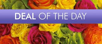 South beach, ocean drive, vizcaya museum & gardens. Miami Beach Florist Flower Delivery By Abbott Florist