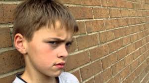 Building Momentum in Schools