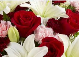 Calliope hummingbird excites birdwatchers in central ohio the most famous bird in ohio right now is a tiny. Florists