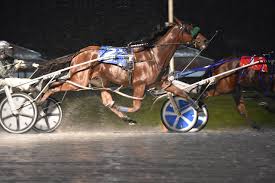 Image result for fraser downs images