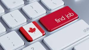 Where To Find Business Analyst Jobs In Canada