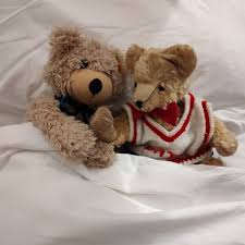 Edward Explores: North Devon