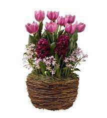 Fuchsia Tulips And Hyacinths Flower Bulb Gift Garden Plowhearth Flower Bulb Gifts Bulb Flowers Garden Bulbs
