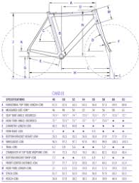 Cannondale Caad10 Size Chart Cannondale Fietskleding En