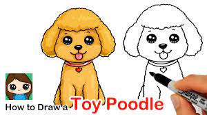 Cute animal drawings kawaii cute easy drawings drawing lessons for kids art drawings for kids poodle drawing cartoon network characters cute animals puppies cute stickers cute cartoon. How To Draw A Toy Poodle Puppy Dog Easy Youtube