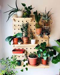 Estante Pegboard Rectangulo Pequeno 18 X 24 Etsy House Plants Decor Indoor Garden Apartment Plant Decor