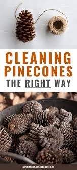 Pine cones are one of those elements of nature that get overlooked by almost everyone… unless they are a crafter. The One Thing You Must Do Before Decorating With Pine Cones Pine Cone Crafts Pine Cone Decorations Cones Crafts