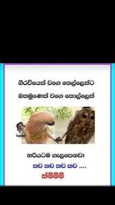 We did not find results for: 230 Funny Jokes Ideas In 2021 Funny Jokes Jokes Funny