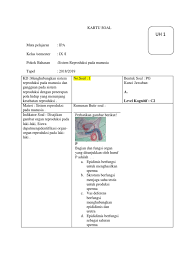 Pokok pikiran kemanusian yang adil dan beradab mengandung pengertian. Soal Hots Ipa Uraian Sistem Reproduksi Kls 9 Jawabanku Id
