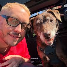 Harnessing the Power of HR Technology