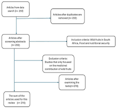 Image result for Macrotyloma maranguense