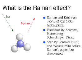 September 9 used raman imaging to quantify the effect of the epidermal growth factor inhibitor panitumumab on colon cancer cells expressing kirsten‐ras mutations. A Cartoon Showing The Raman Effect Incident Light Is Shown In Green Download Scientific Diagram