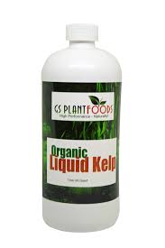 Everyday we publish the materials on the most trendy and hot topics and companies, both russia and. Good For Lemon Tree Growth During Extreme Temps Free 2 Day Shipping Buy Liquid Kelp Organic Seawee Organic Liquid Fertilizer Fertilizer Fertilizer For Plants