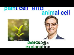 We did not find results for: Difference Between Plant Cell And Animal Cell Explained In Malayalam Youtube