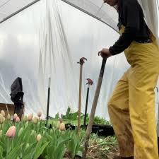 Mountaintop autumn wedding inspiration in north carolina | north carolina wedding inspiration. Carolina Flowers Home Facebook