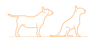 Check spelling or type a new query. Bull Terrier Dimensions Drawings Dimensions Com