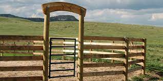 How, when & why if you're starting a horse or need to turn around an older horse that's proving a challenge, round pen training is your very first step. The Benefits Of Using A Round Pen Cowgirl Magazine