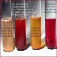 Nitrate test