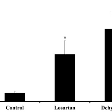 Camels have many adaptations that allow them to live successfully in desert conditions. Pdf Responses To Dehydration In The One Humped Camel And Effects Of Blocking The Renin Angiotensin System