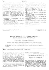 Image result for Chrysocoma tenuifolia