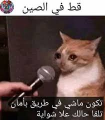 ههههه ختيه cute funny quotes funny quotes for instagram funny school memes