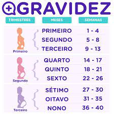 Sintomas Da Gravidez Por Trimestre Mediquo