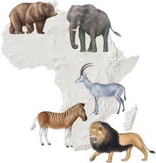 Image result for Helixanthera schizocalyx