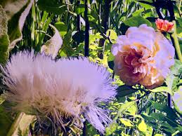 Das panometer mit carolas garten befindet sich am stadtrand von leipzig. Leipzig Carolas Garten Fotowalk Vonreisenundgaerten