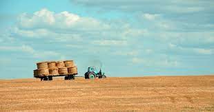 So You Wanna Be A Farmer Get A Load Of These Silly Farm Jokes
