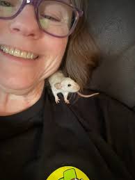 My girl SunniDotWilson!💕🐾