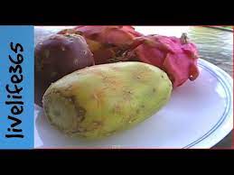 No matter how long you cook them the chunks won't break down, they just get softer. How To Eat Cactus Fruit Prickly Pear Youtube