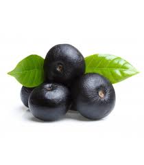 Acai Berry Powder Premium Organic Freeze Dried Acai Berry Powder Acai Berry Acai Berry Fruit