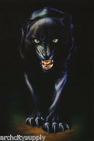 Black panther wakanda forever graphic poster. Lot Of 2 Posters Animal Mean Black Panther Free Shipping 24 009 Lp53 N Ebay