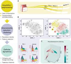 frontiers meeting the challenges of high dimensional