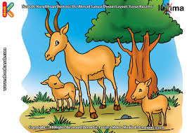 Check spelling or type a new query. Apakah Nama Hewan Bertanduk Terbesar Ebook Anak