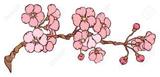 Dessiné la peinture de lotus d'encre main. Cerisier Ou Japon Sakura Branche En Fleur Isole Sur Un Fond Blanc Main Dessin Vector Illustration Clip Art Libres De Droits Vecteurs Et Illustration Image 51454785