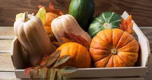 Kurbis Lagern So Geht S Richtig Orchideen Pflege Orchideen Kurbis