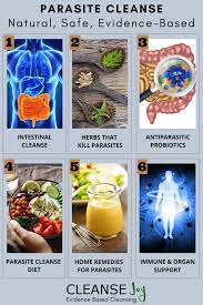 More images for baking soda tapeworm » Does Baking Soda Kill Tapeworms
