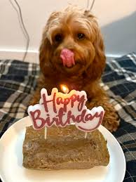 🧡Orange boy with allllll the tan