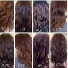 68 Ideas Hair Color Ideas For Brunettes For Summer Shades Dark Brown Types Of Brown Hair Brunette Hair Color Brown Hair Color Shades