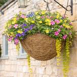 Hanging Basket Plant & Sip Workshop