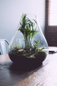 Pin By Laura Pinckney On Hacks Diys Garden Terrarium Glass Garden Miniature Garden