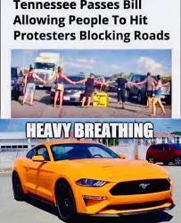 Mustang Memes Mustang Memes Added A New Photo