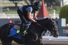 His trainer, bob baffert, whom churchill has suspended from racing, denies that the horse was administered the drug. Three Kentucky Derby 2021 Longshots Who Could Blow Up The Superfecta Thoroughbred Racing Dudes