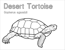 Ever wonder what color is tortoise? Desert Tortoise Coloring Page To Print Coloringbay