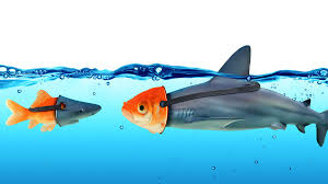 When it goes the other way round, people usually start calling you i've tried to fake having a positive attitude. Fake It Till You Make It Everyone Else Is Doing It Too Aba For Law Students