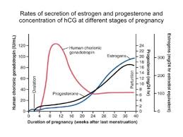 High Hcg Levels Related To Hg Babycenter