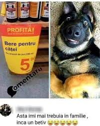 Acest moment este de c…t, dar așa este în sport, a spus rasmussen, la conferința de presă. Pin By Bogdan On Funny Funny Photos Funny Memes Funny Moments