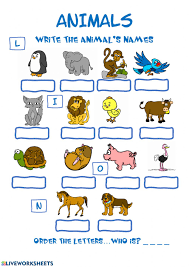 Animals Names Worksheet